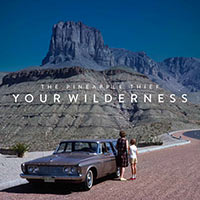 the-pineapple-thief-your-wilderness