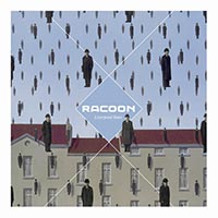 racoon-liverpool-rain
