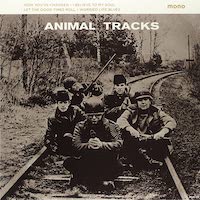 the-animals-animal-tracks
