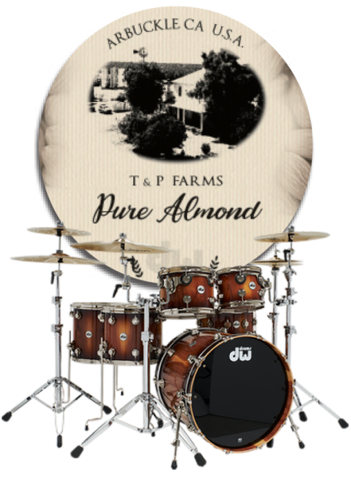 DW The history Best Music Sheet